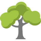 Antioch Tree Removal